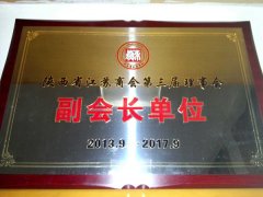 副會(huì)長(zhǎng)單位